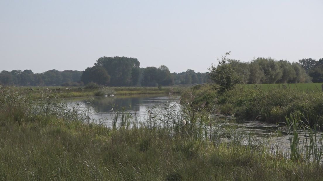 De Sallandse Heuvelrug, een combinatie van water en natuur.