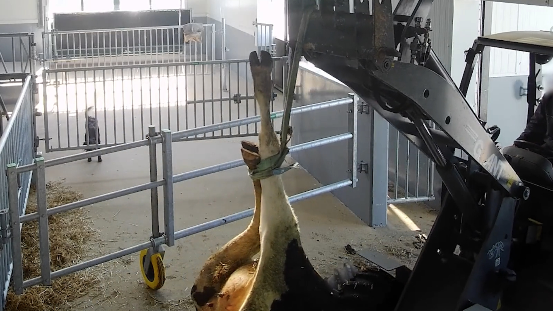 3c05ea67-9dec-3fd2-b708-9a11a46741a7.jpg?width=1104&height=828&aspect_ratio=1104:828&cb=dc158e9171061bbd4f608356794039c7