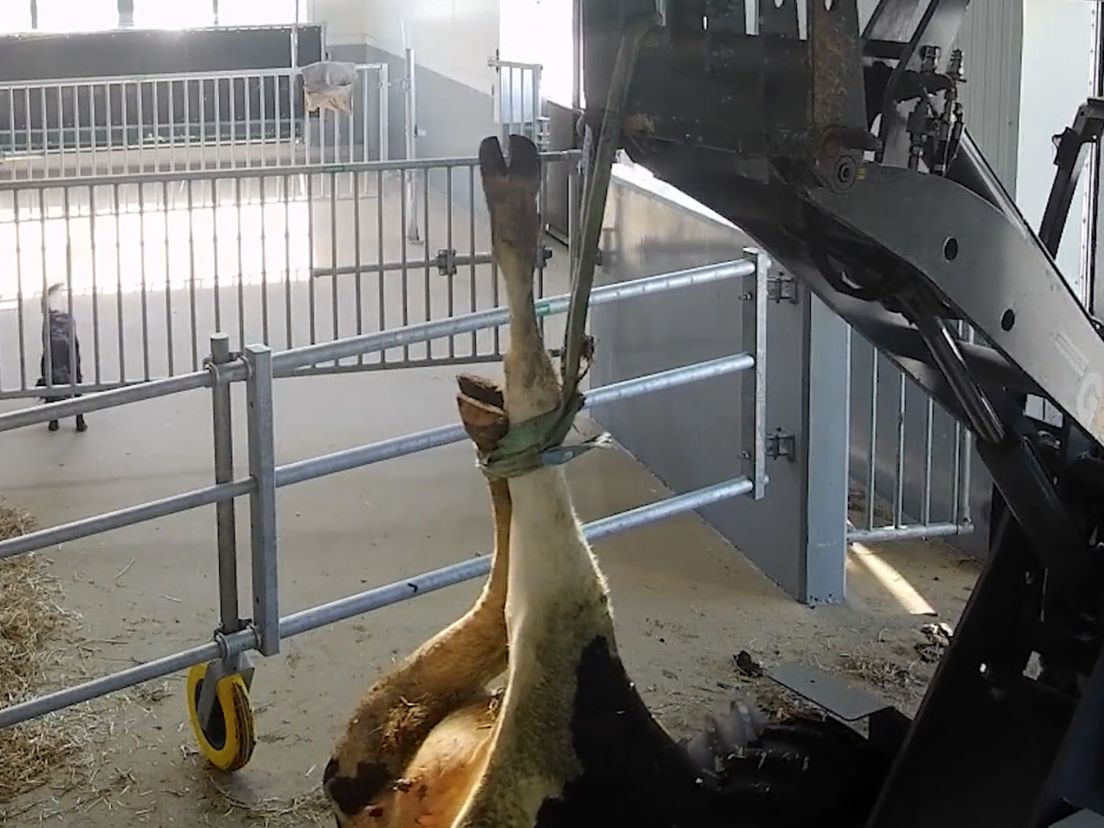 3c05ea67-9dec-3fd2-b708-9a11a46741a7.jpg?width=1104&height=828&aspect_ratio=1104:828&cb=dc158e9171061bbd4f608356794039c7