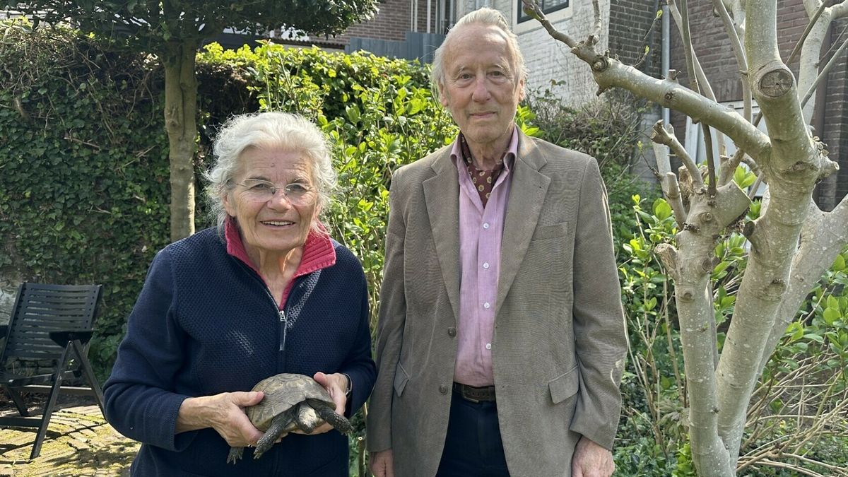 Joop (90) en Loek (86) kochten schildpad voor zoons verjaardag: Stoffel woont al 53 jaar bij hen