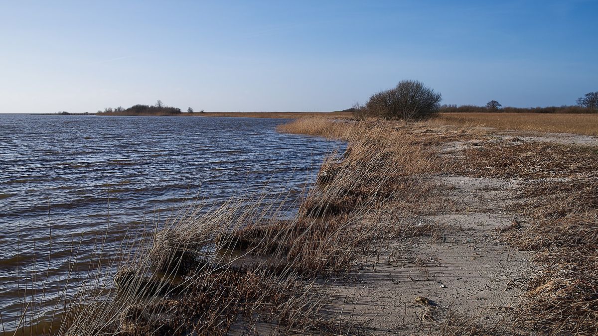 Erotisch centrum voor vissen bij Bakhuizen: 