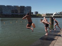 Eerste buitenzwemmers duiken in de Rijnhaven