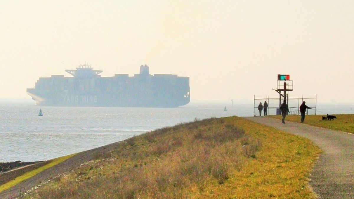 Dun laagje olie op oostelijk deel Westerschelde