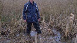 Gasmetingen in de Onlanden