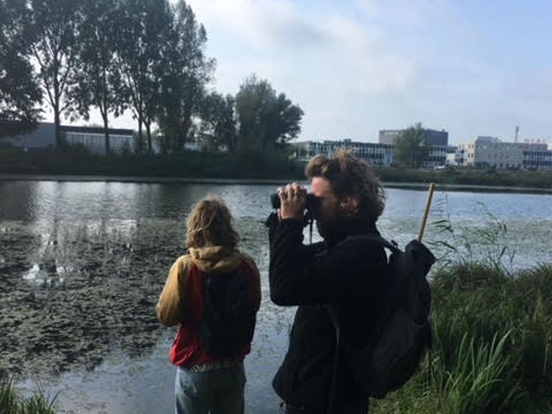 De gebroeders Groen op de uitkijk bij het Eiland van Brienenoord