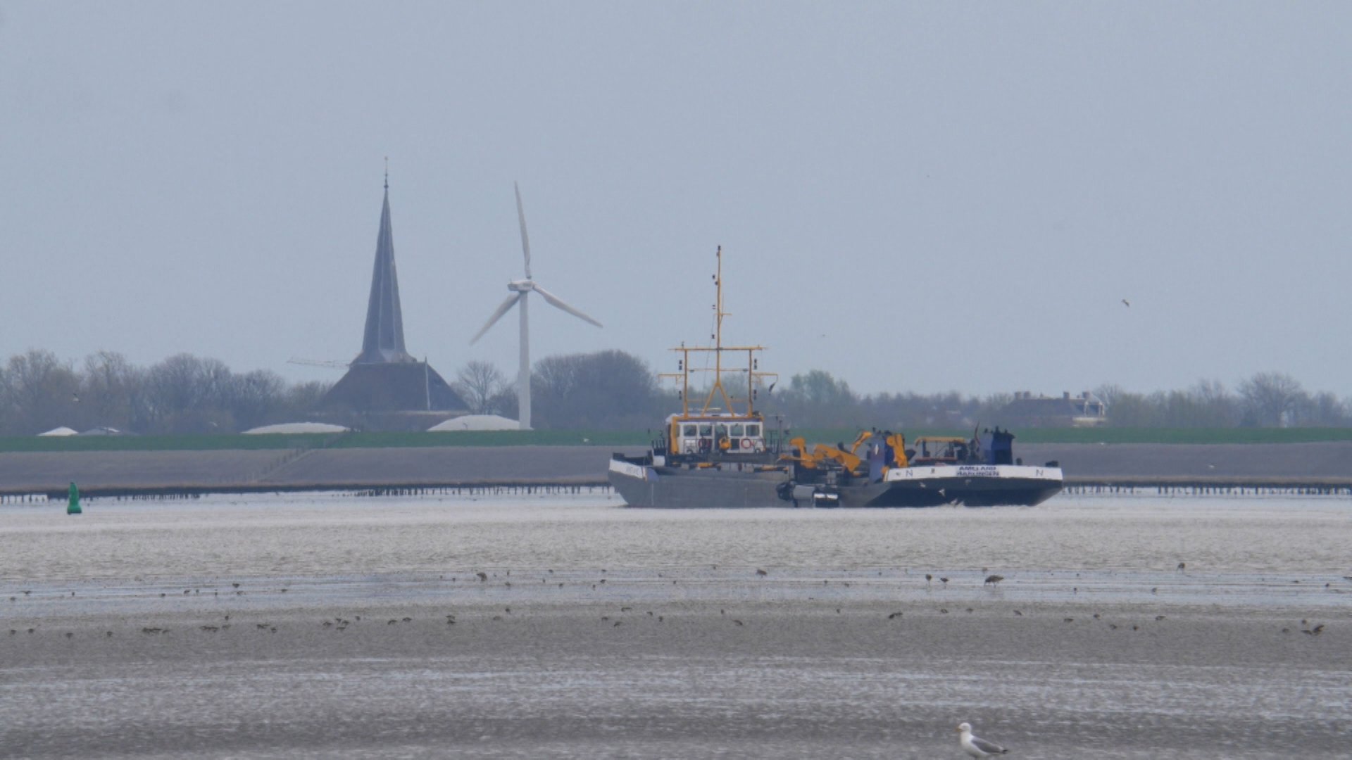 Als de wal het schip keert: wat is de toekomst van het vervoer naar