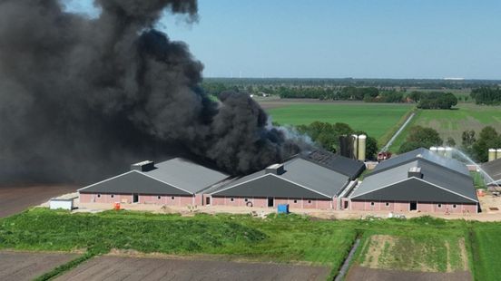 Grote brand varkensboerderij Mussel is geblust: 'Kan nog wel rook vrijkomen'