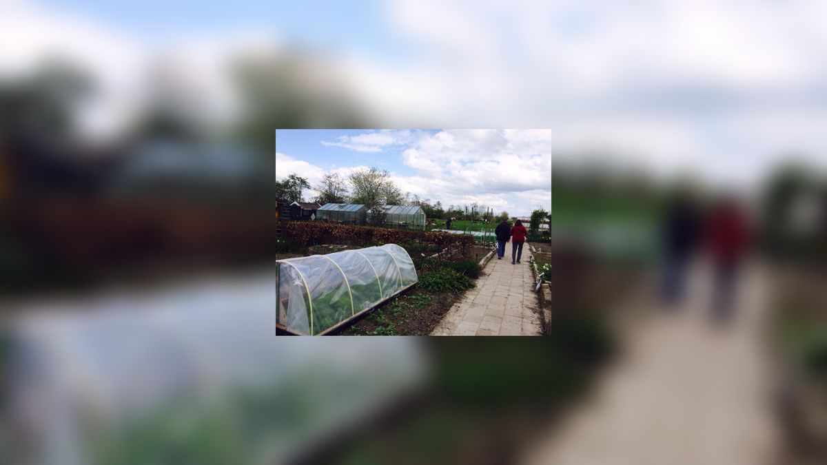 Extra geld nodig voor bijzondere kas in Snakkerburen