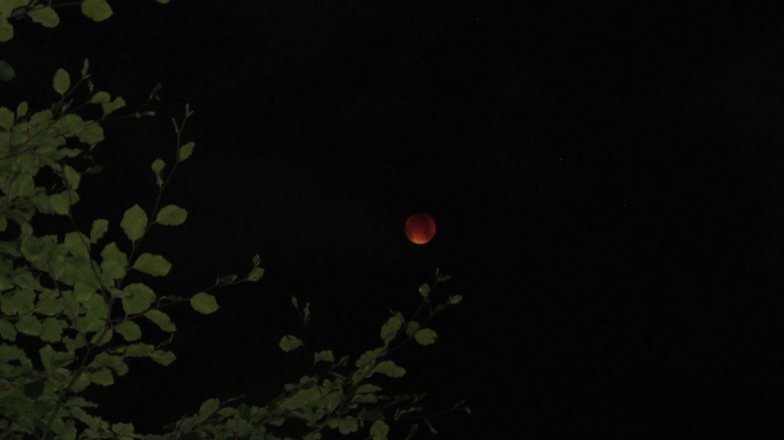 De wekker ging vroeg, heel vroeg voor een aantal Gelderlanders. Zij stonden afgelopen nacht op voor de superbloedmaan. Met een warm dekentje en een fotocamera trotseerden velen de kou voor een foto van de maansverduistering.