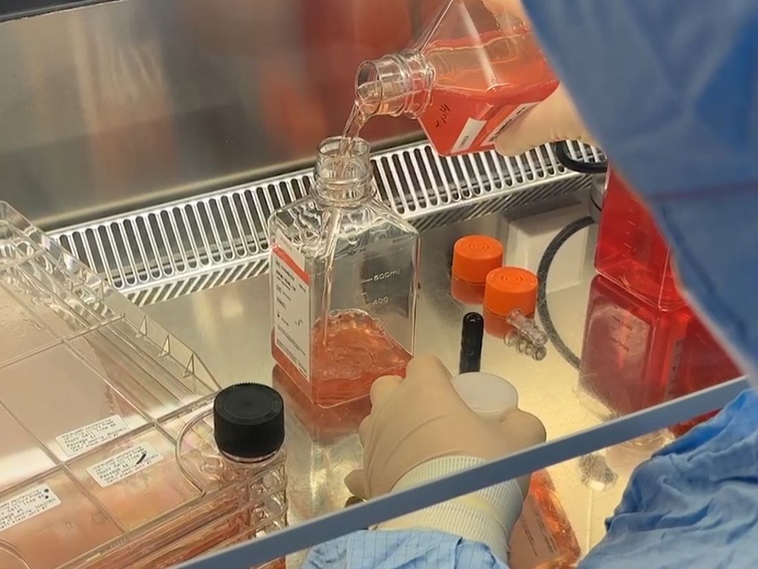 In het Erasmus MC wordt met 'levende medicijnen' geprobeerd kanker beter te behandelen