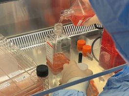 Erasmus MC gaat in nieuw laboratorium 'klussen' met levende cellen om kanker beter te behandelen