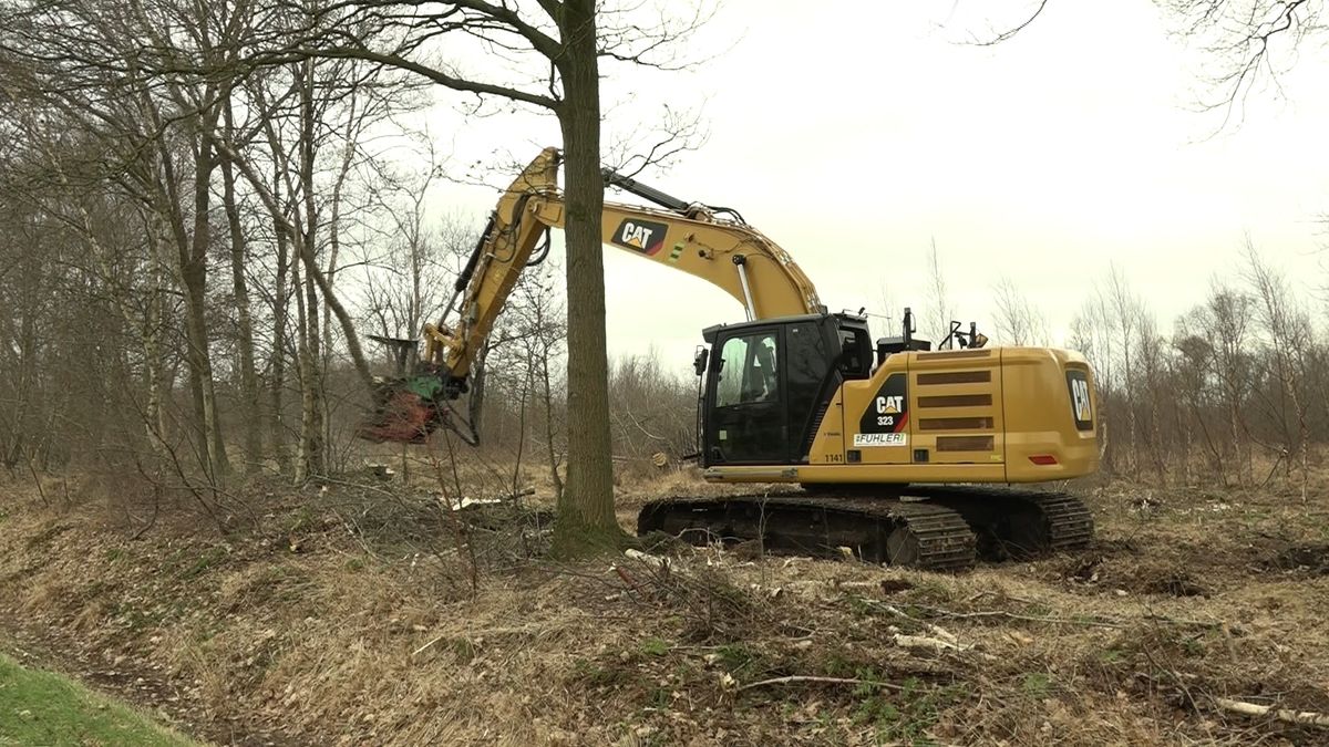 Werkzaamheden moeten Oosteindsche Veen bij Schoonebeek van ondergang redden