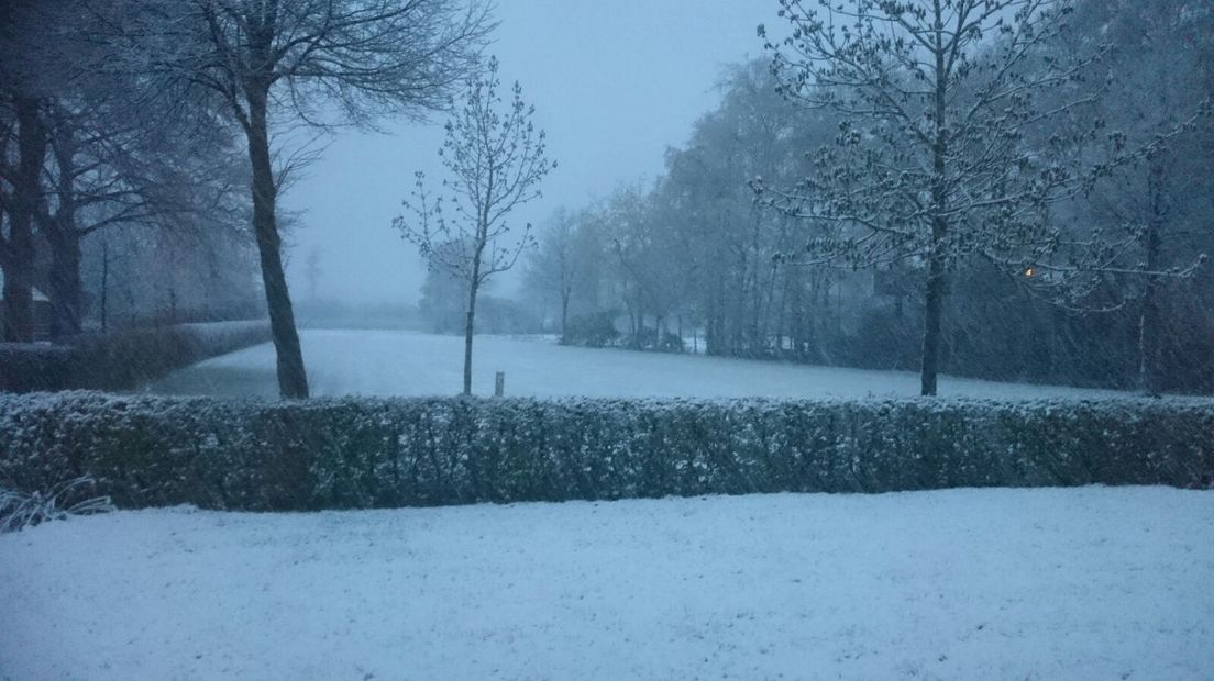 Sneeuw in Geeuwenbrug (Rechten: Nico Houwer)