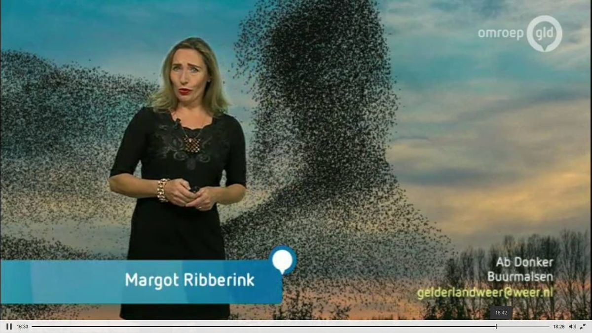 Van wie is toch die foto bij het weerbericht? Van Ab Donker uit Buurmalsen, dus