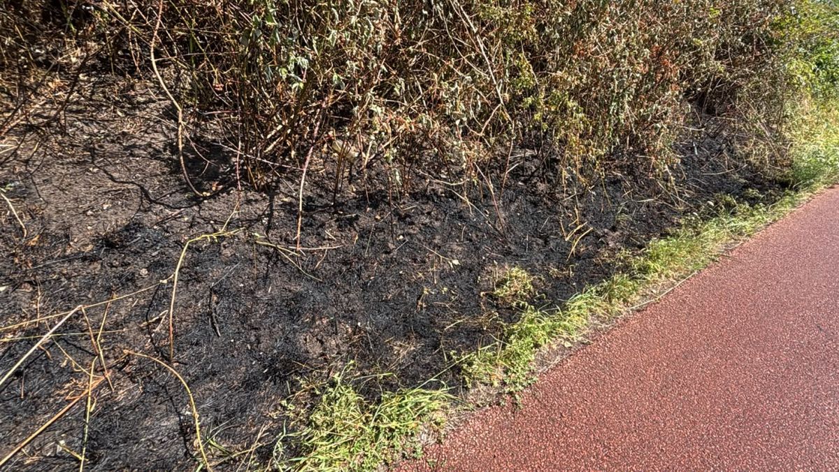 Bosjes in brand, brandweer rukt groots uit vanwege gevaar natuurbranden