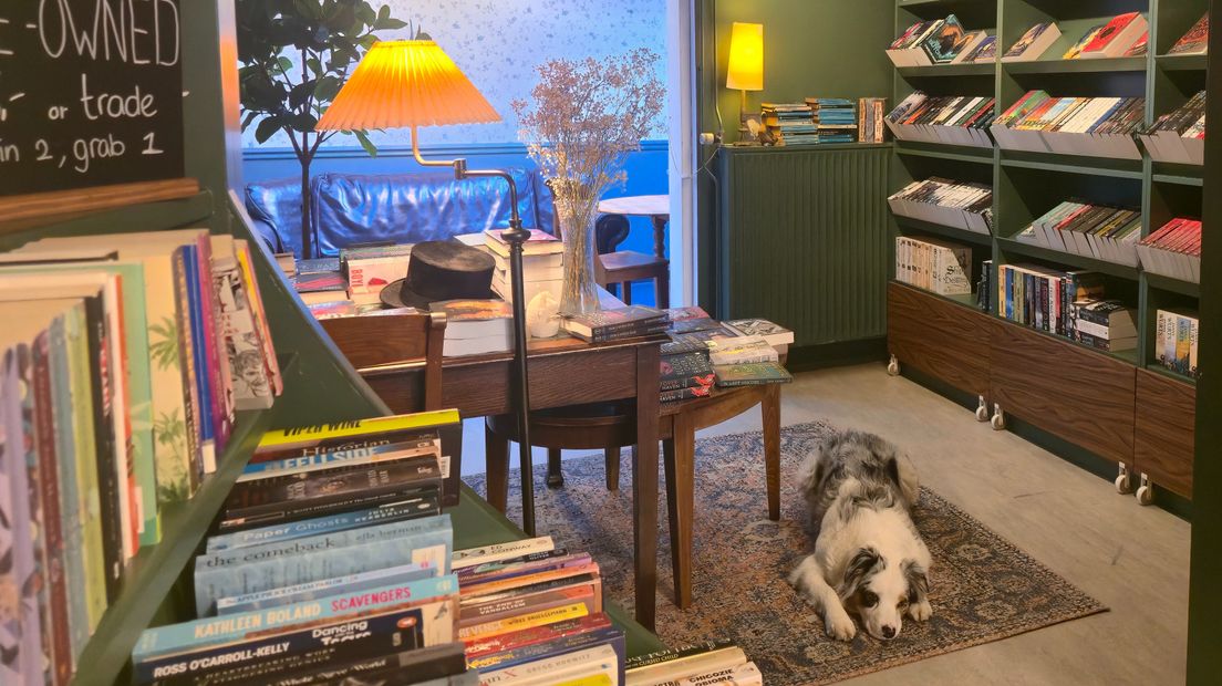 The Paperback in Delft