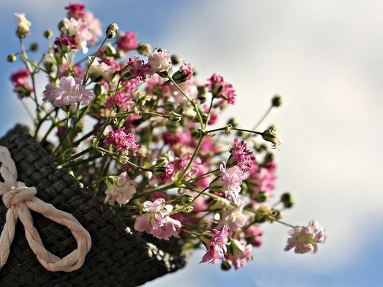 Bloemenprijzen stijgen met Moederdag: zo kom je toch aan een betaalbaar boeket