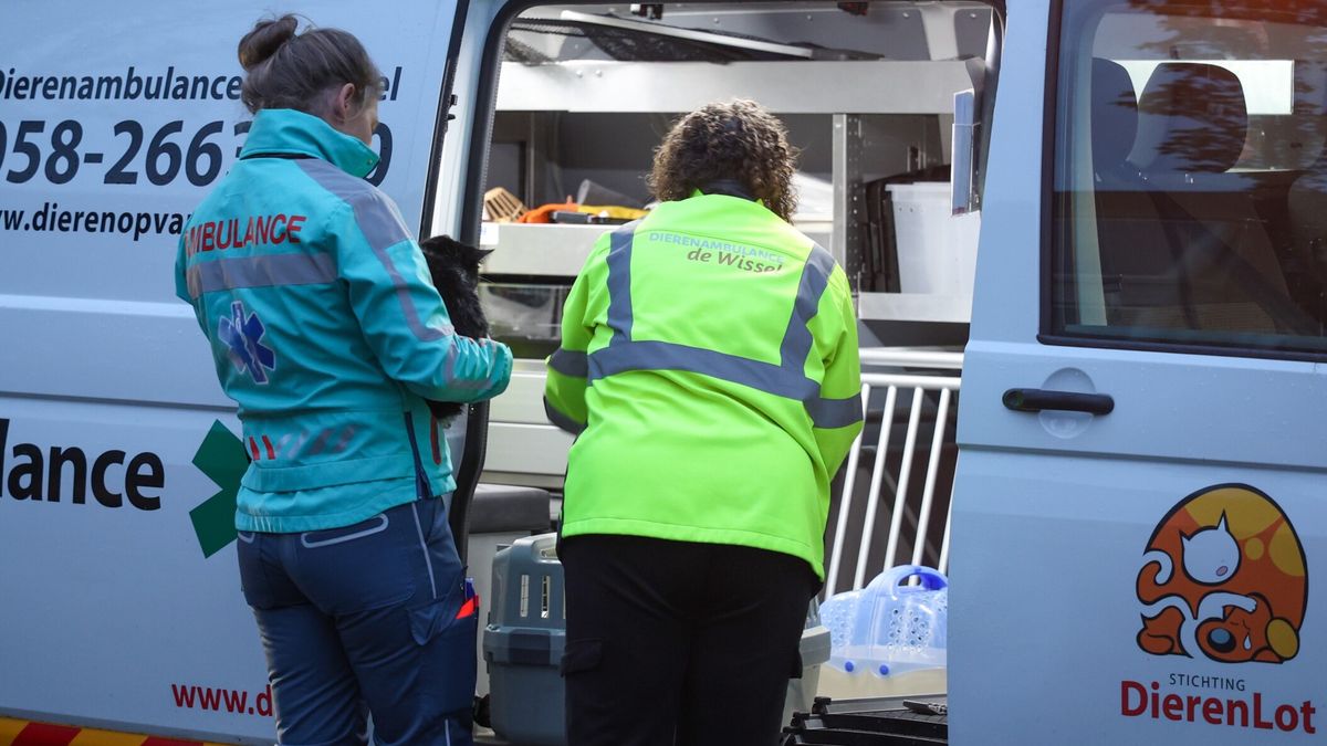 112-nieuws 24 mei: Brand Leeuwarden onder controle, brandweer redt kat