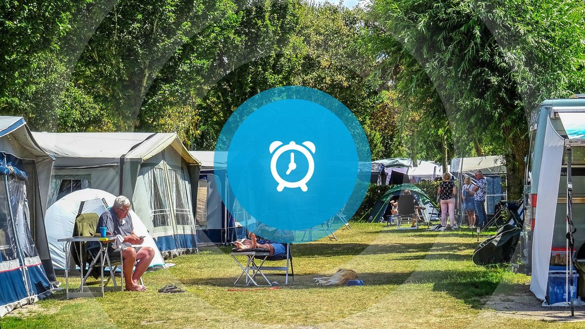 Goedemorgen! Boze Zeeuwen door hardrijders, larven in Zierikzeese bomen en uitspraak hotel Domburg