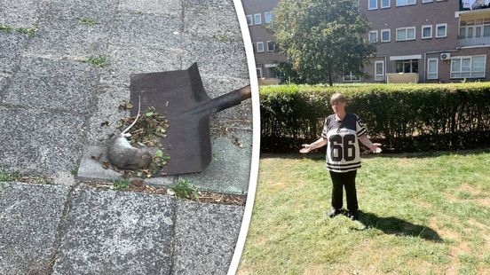 Bewoners zijn ongedierte in gezamenlijke tuin helemaal zat: 'Het is hier een rattenparadijs'