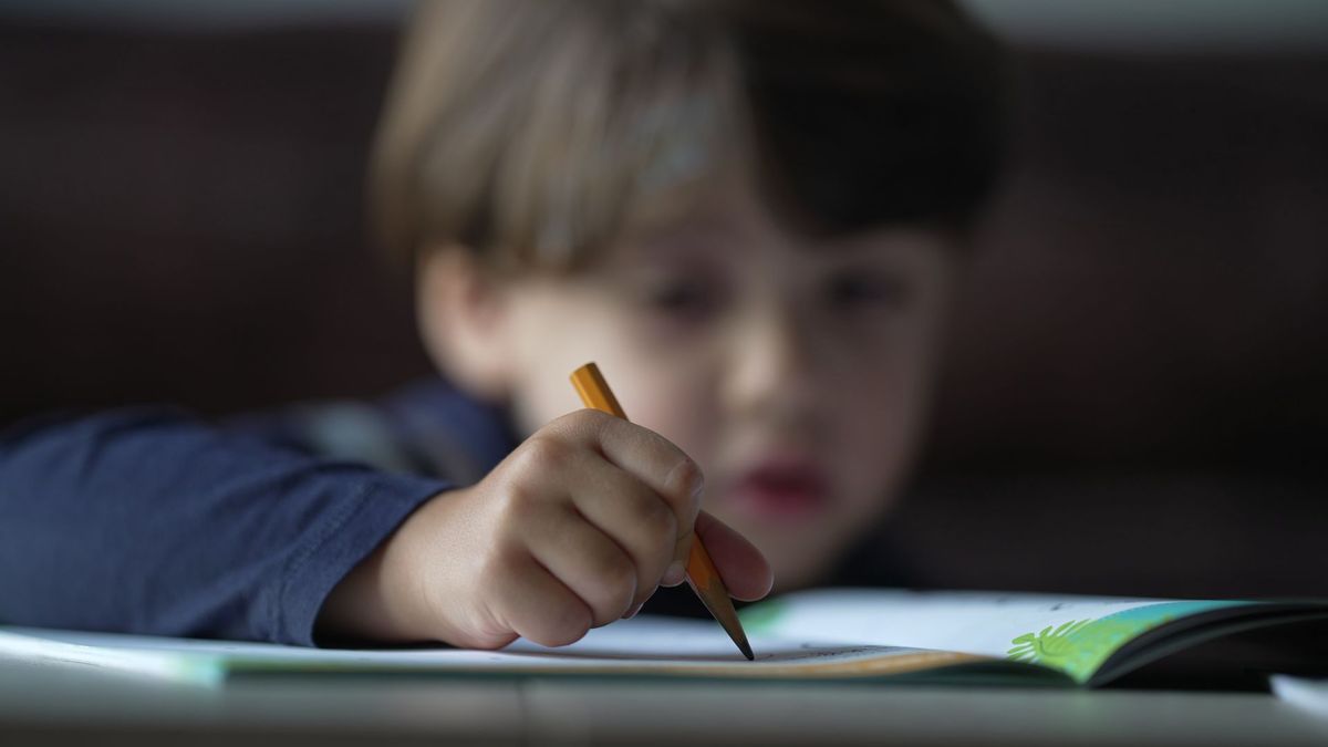 Strengere regels voor honderden Gelderse kinderen die thuisonderwijs krijgen