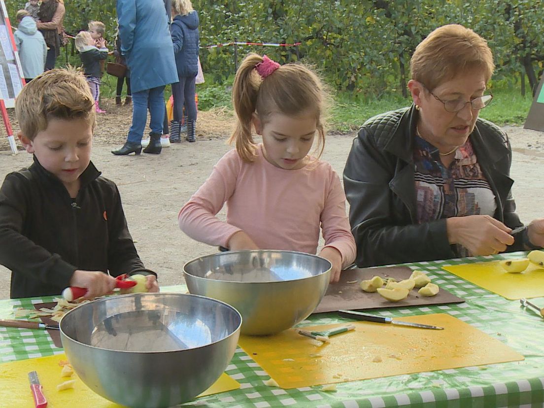 Kinderen maken in Rhoon appelmoes