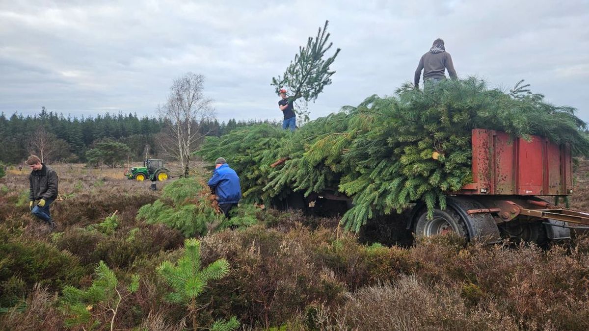 Paasvuur wordt duur en ingewikkeld, maar Schalkhaar vond de uitweg
