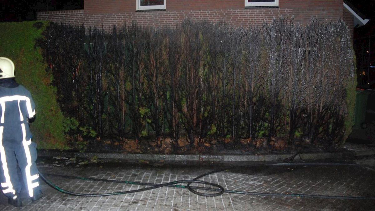 Brandweer rukt uit voor brandende heg in Hengelo