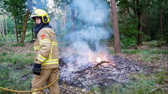 Bosbrand: politie vermoedt brandstichting