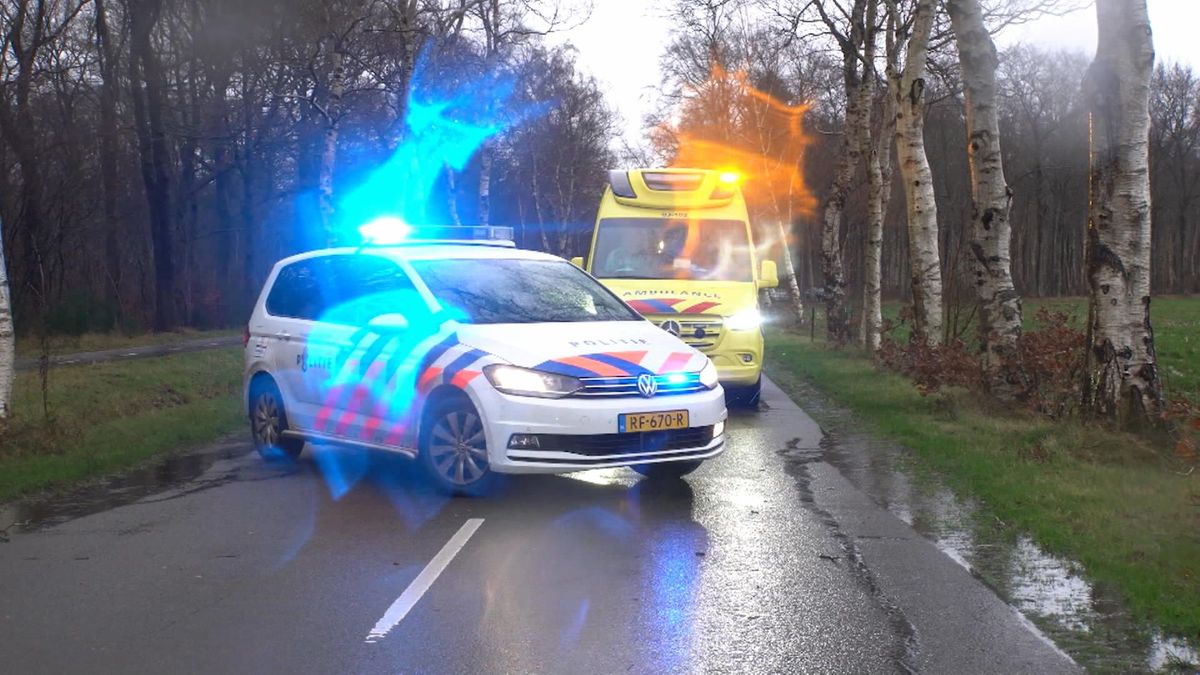 Auto rijdt tegen omgewaaide boom Hooghalen