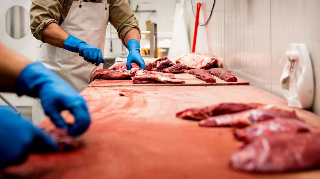 Het uitzendbureau levert vooral arbeidskrachten aan vleesverwerkende bedrijven.