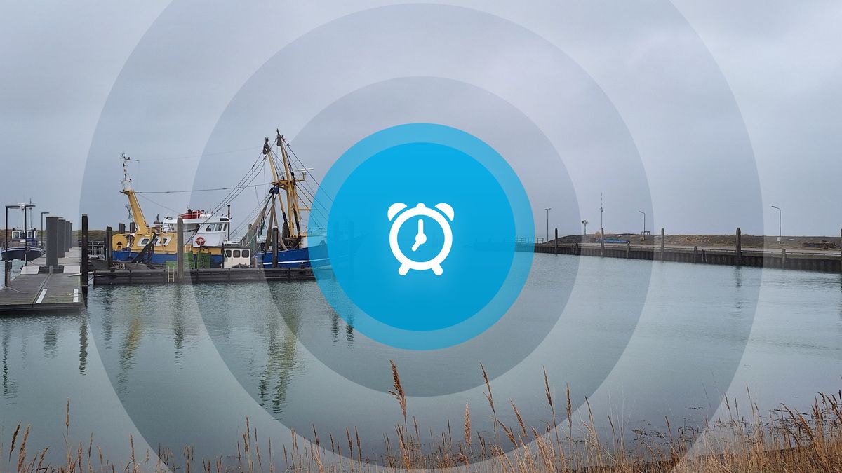 Goedemorgen! Supercross Goes, recordjaar vleermuizen en start Hulst by Lightrun