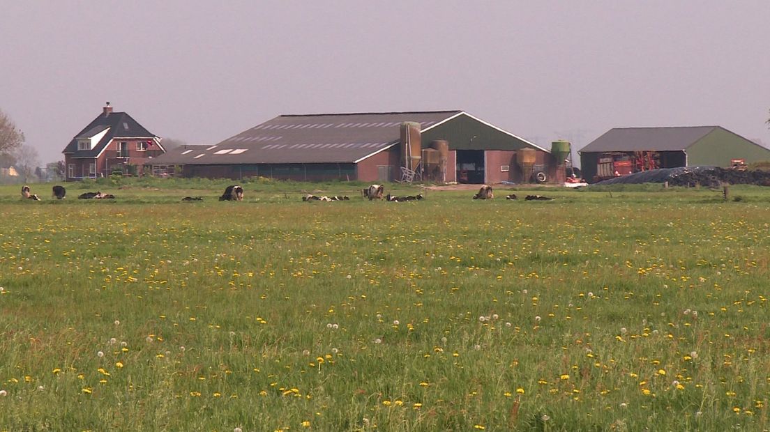 Weidevogelkaas uit polder Mastenbroek