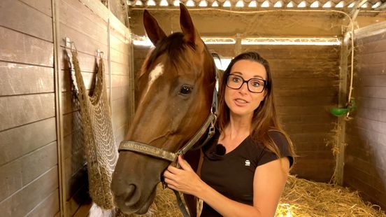 Manege koopt paard met 7.500 euro aan statiegeld: 'Gaan opnieuw sparen' Home