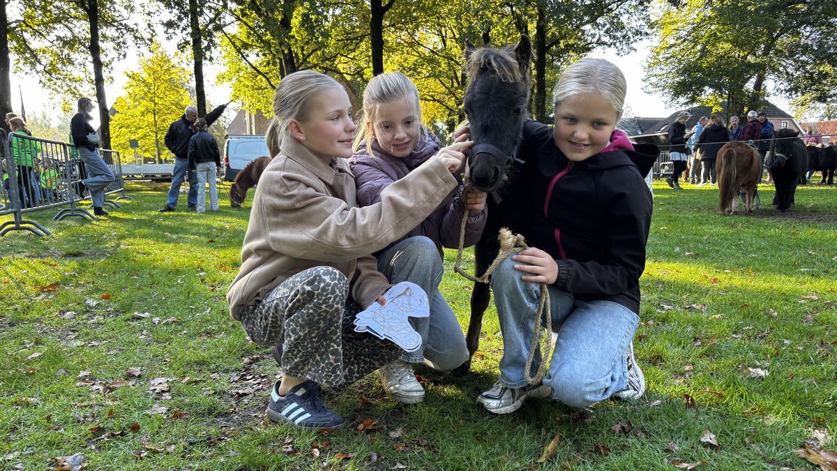 Dwingeloo verwelkomt herfstvakantie met koekjes en stokpaardjes