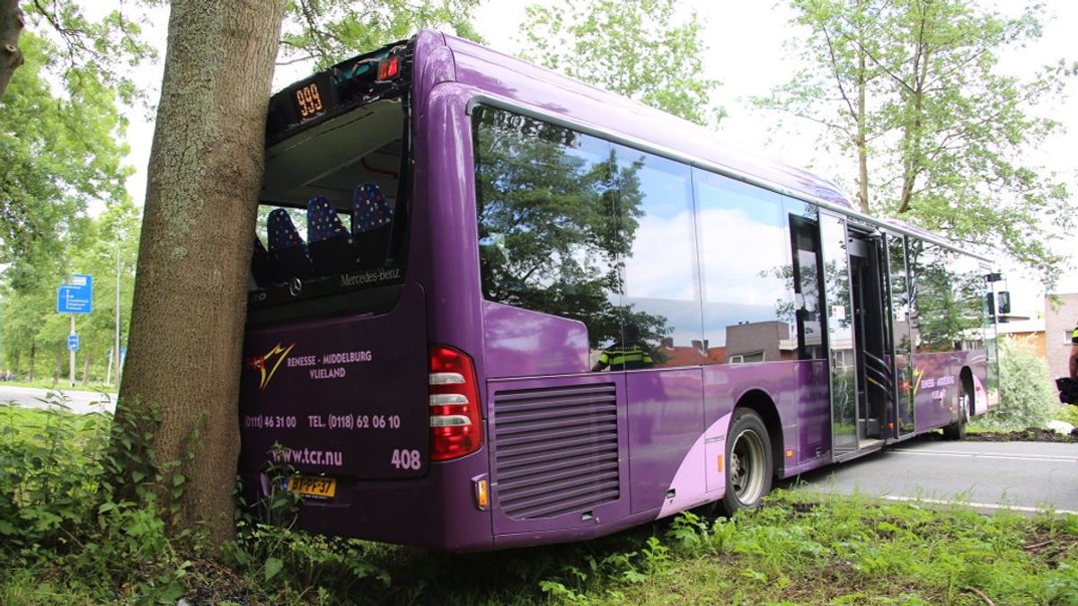 Bus knalt tegen boom, N196 dicht