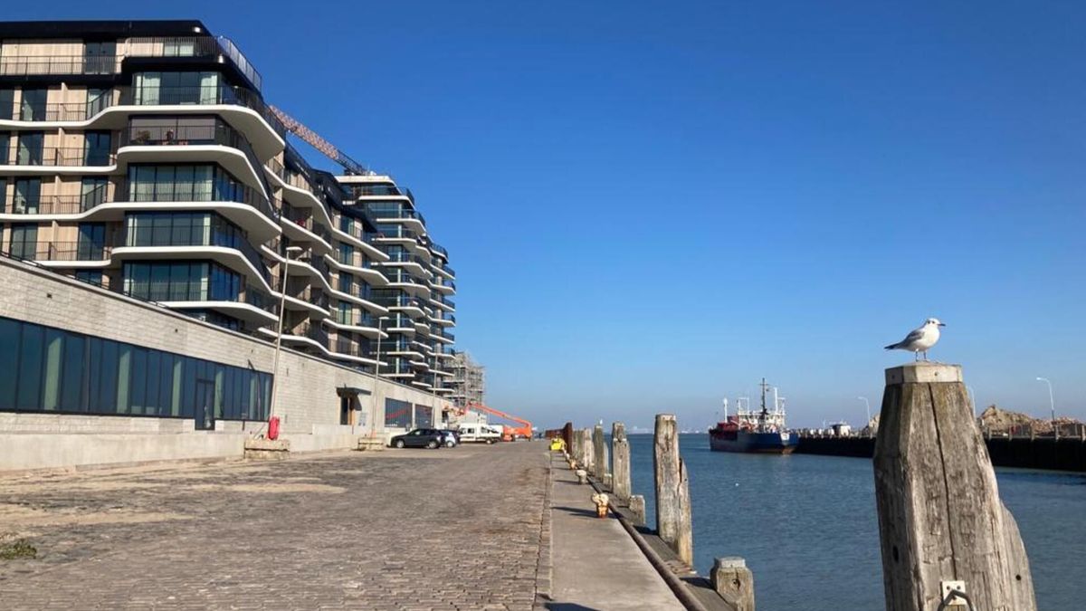 Kademuren in slechte staat: schepen mogen niet aanmeren in haven Breskens