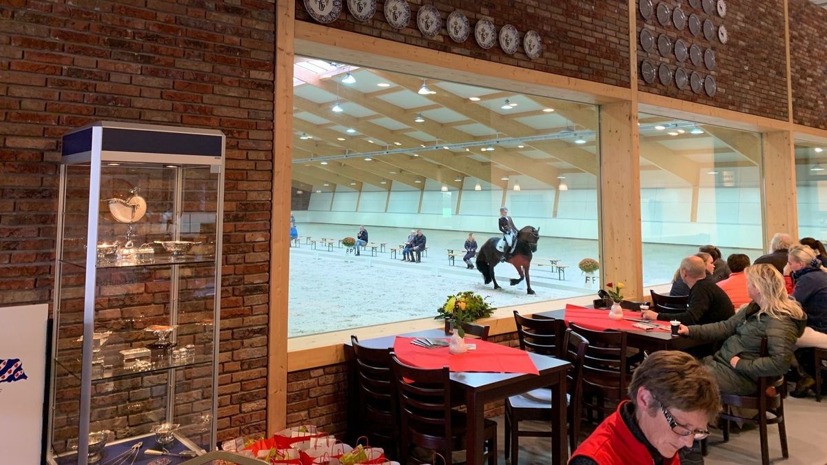 EK Dressuur met Friese paarden: grote ambities in Haskerhorne