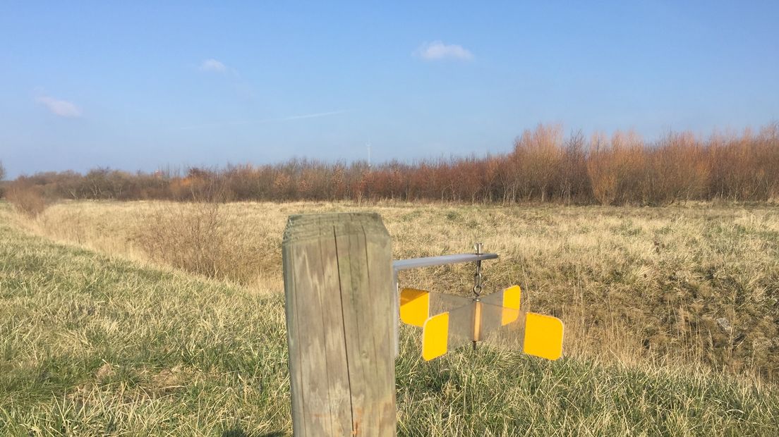 Wildreflectoren moeten dieren behoeden voor botsing met auto's.