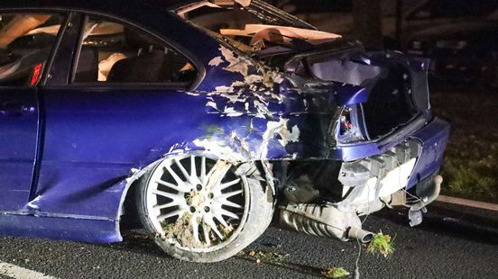Man gewond na ongeluk op N224. Man gewond na ongeluk op N224.