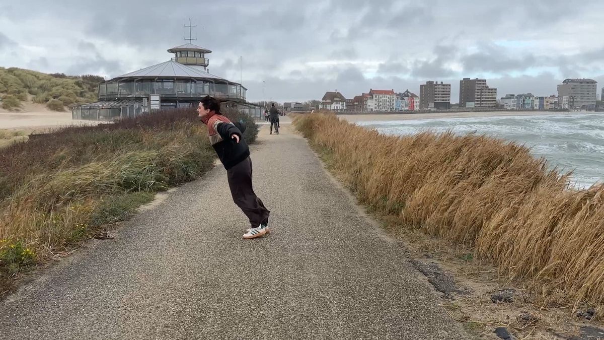 Storm Benjamin is aan land in Zeeland: omgevallen bomen, dingen waaien van gebouwen