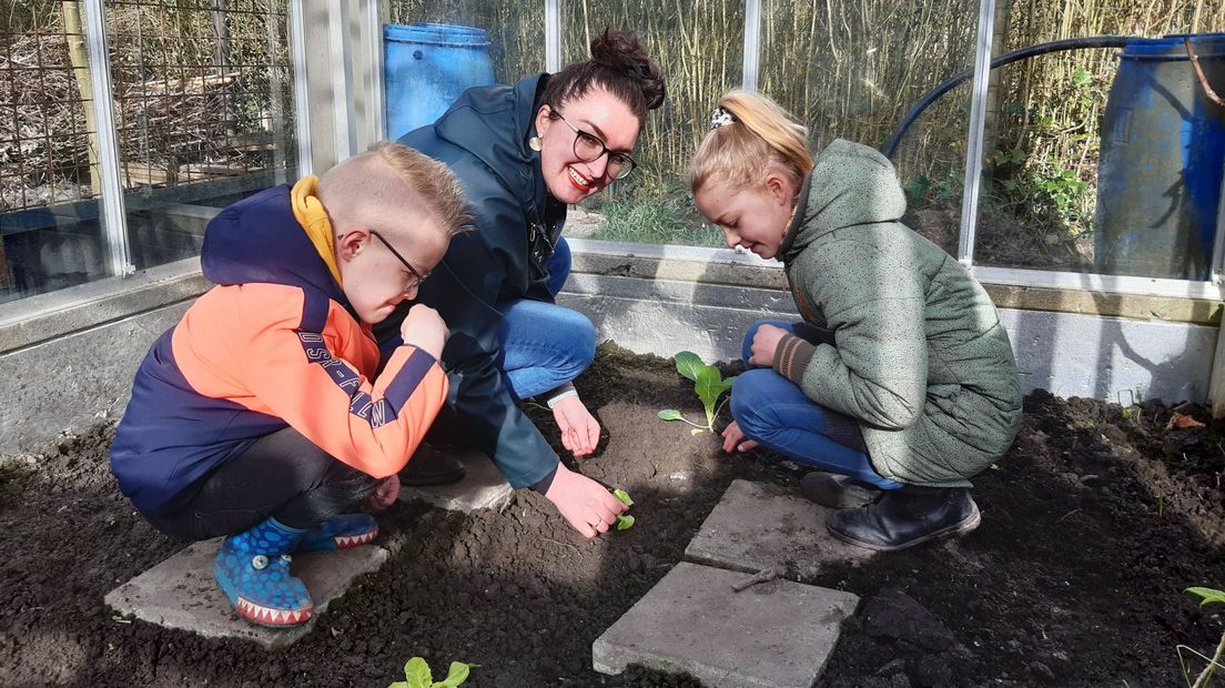 Lenie, Whitney en Delano werken in de kas I