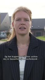Vogelgriep uitgebroken
