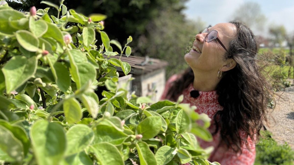 Winny's tuin zit er vol mee, meten is weten tijdens de Nationale Bijentelling