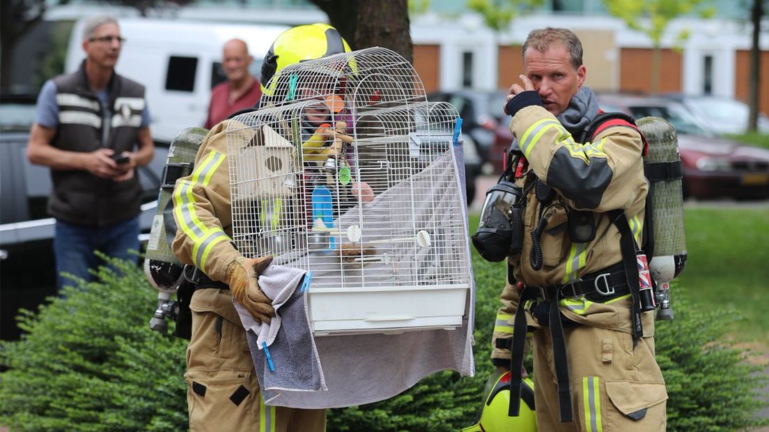 Eén papegaai is gered bij de brand in Leidschendam.