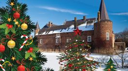 Maak jij de mooiste kerstboom van Gelderland?