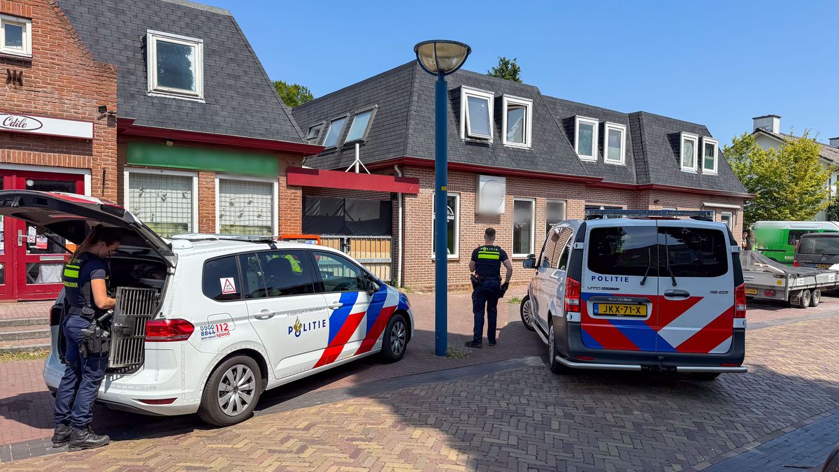 Verdachte aangehouden bij steekincident in Schalkhaar