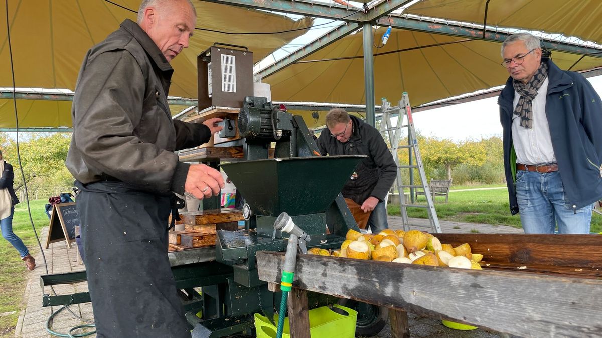 Fruithof houdt Fruitpersdag in Frederiksoord: 'Onze hoop is dat we zo meer beschermde rassen kunnen 