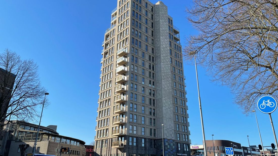 Hondsrugtoren