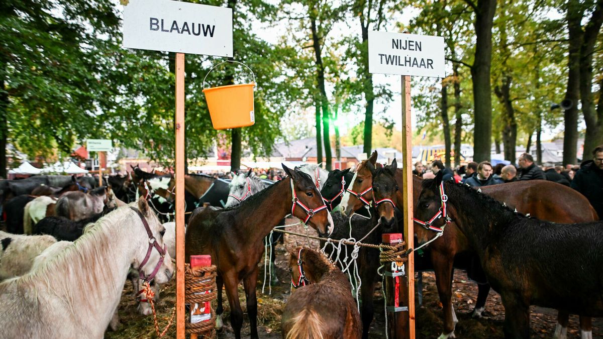 Burgemeester Thijsen opent 824e editie Zuidlaardermarkt